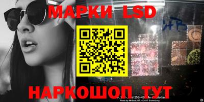 apvp Аша