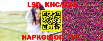 apvp Аша