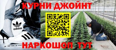 шишки Баксан