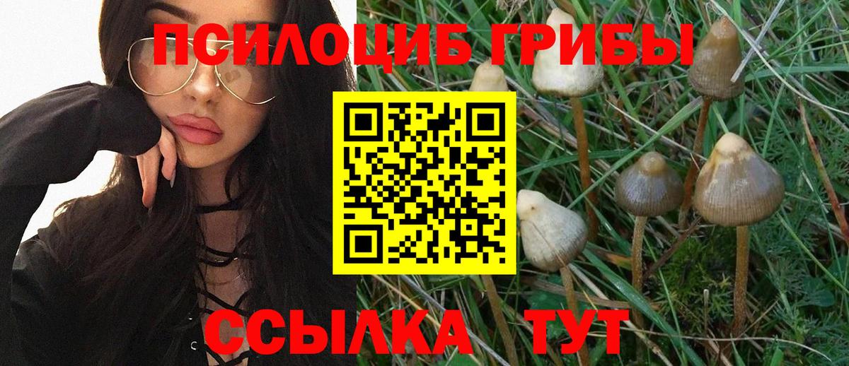 Галлюциногенные грибы GOLDEN TEACHER  Вход с VPN  Городец 